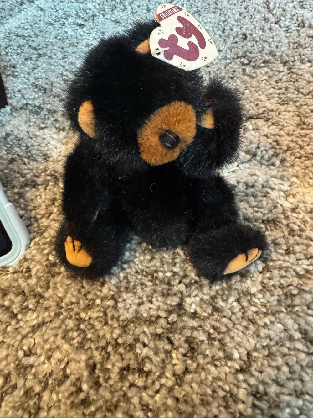 Ty Black Bear Plush with Tan Accents